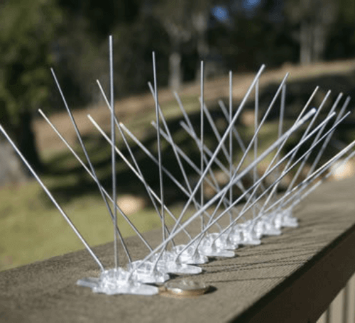 birdspikes
