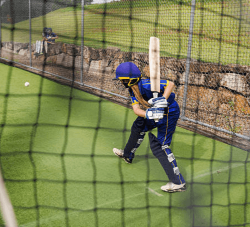 cricketpracticenets3