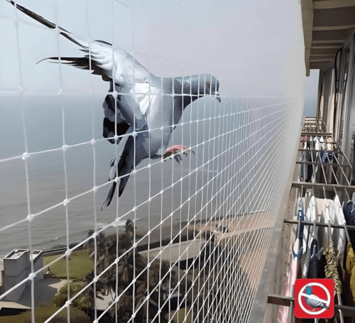 pigeonsafetynets